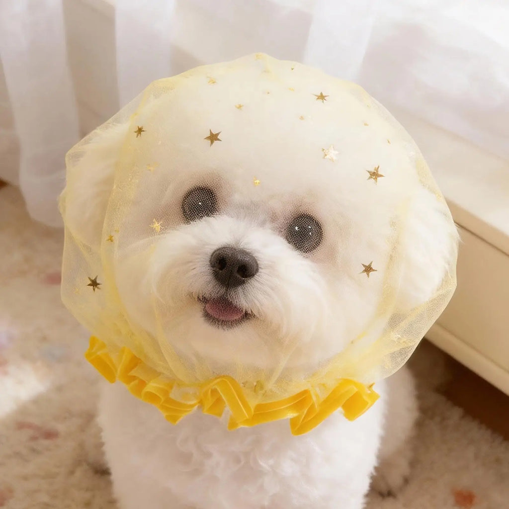 Breathable Mesh Dog Head Net – Anti-Scavenging Cover Dog Muzzle Cover Axl