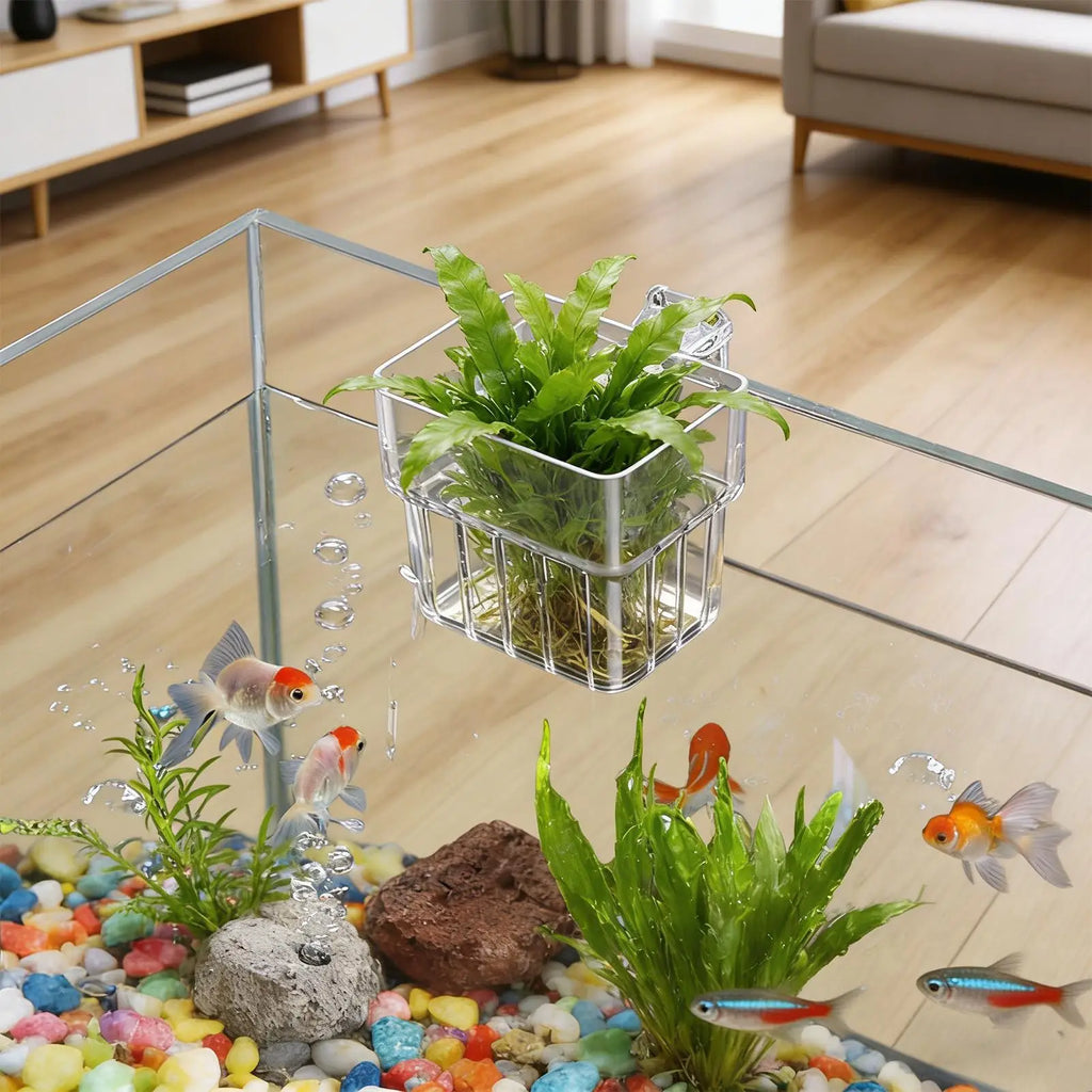 Aquarium Wall-Mount Plant Holder – Transparent Hydroponic Basket Aquarium Plant Holder Axl