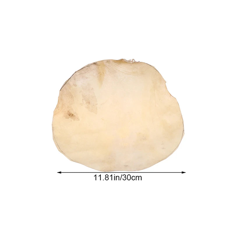 Goat Skin Drum Head 30cm/35cm – Djembe & Bongo Replacement Replacement Drum Head Axl 30CM