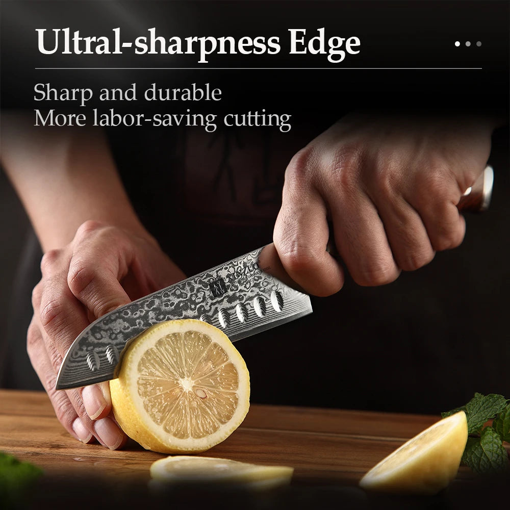 XINZUO 5" Damascus Santoku Knife – 67-Layer Rosewood Handle Damascus Kitchen Knife Axl