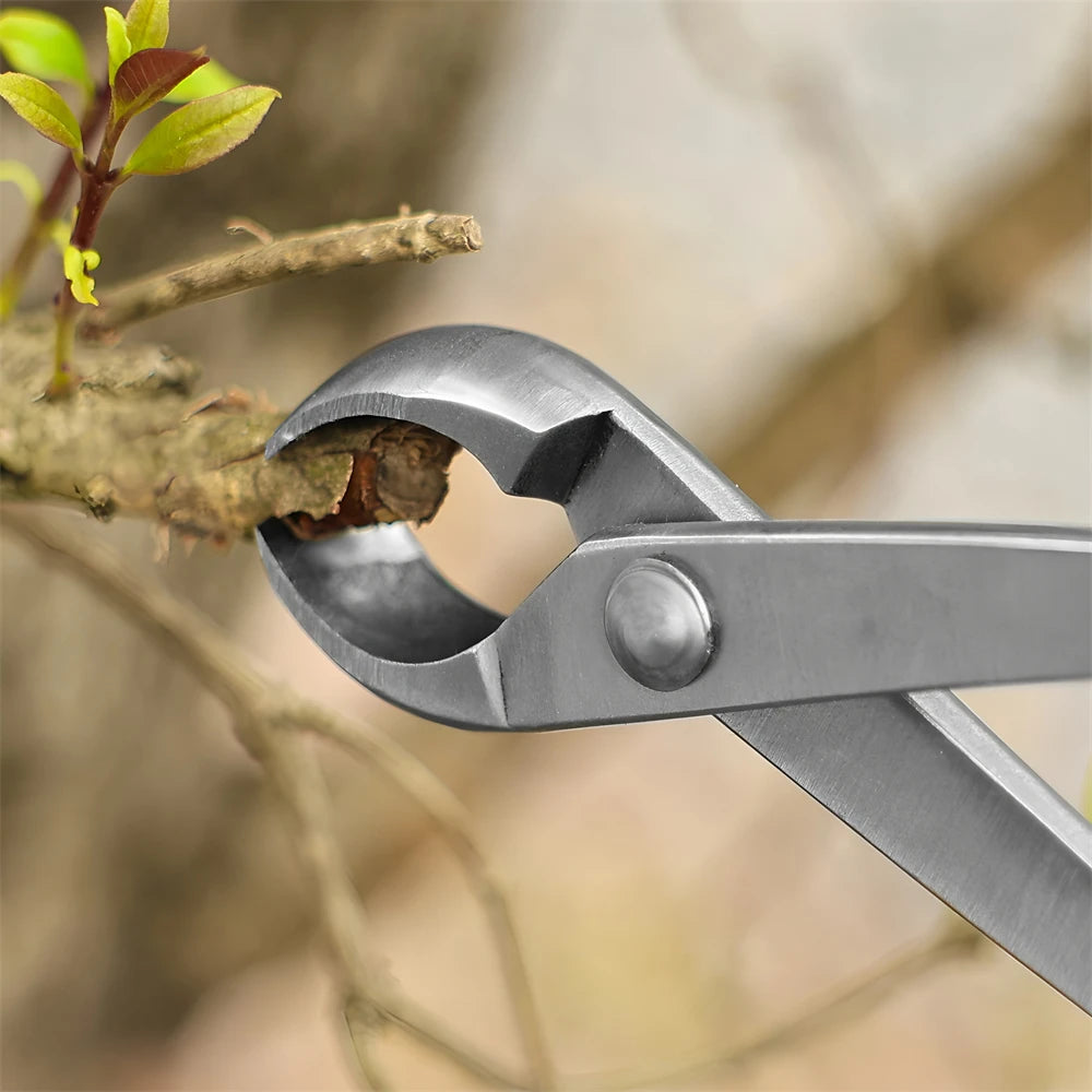 Stainless Steel Ball Shears – Bonsai & Topiary Pruning Tool Topiary Pruning Shears Axl