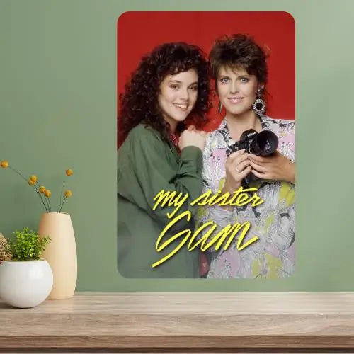 My Sister Sam Classic TV Show Retro Metal Wall Sign Metal Wall Sign Axl aluminum sign aluminum 20x30cm