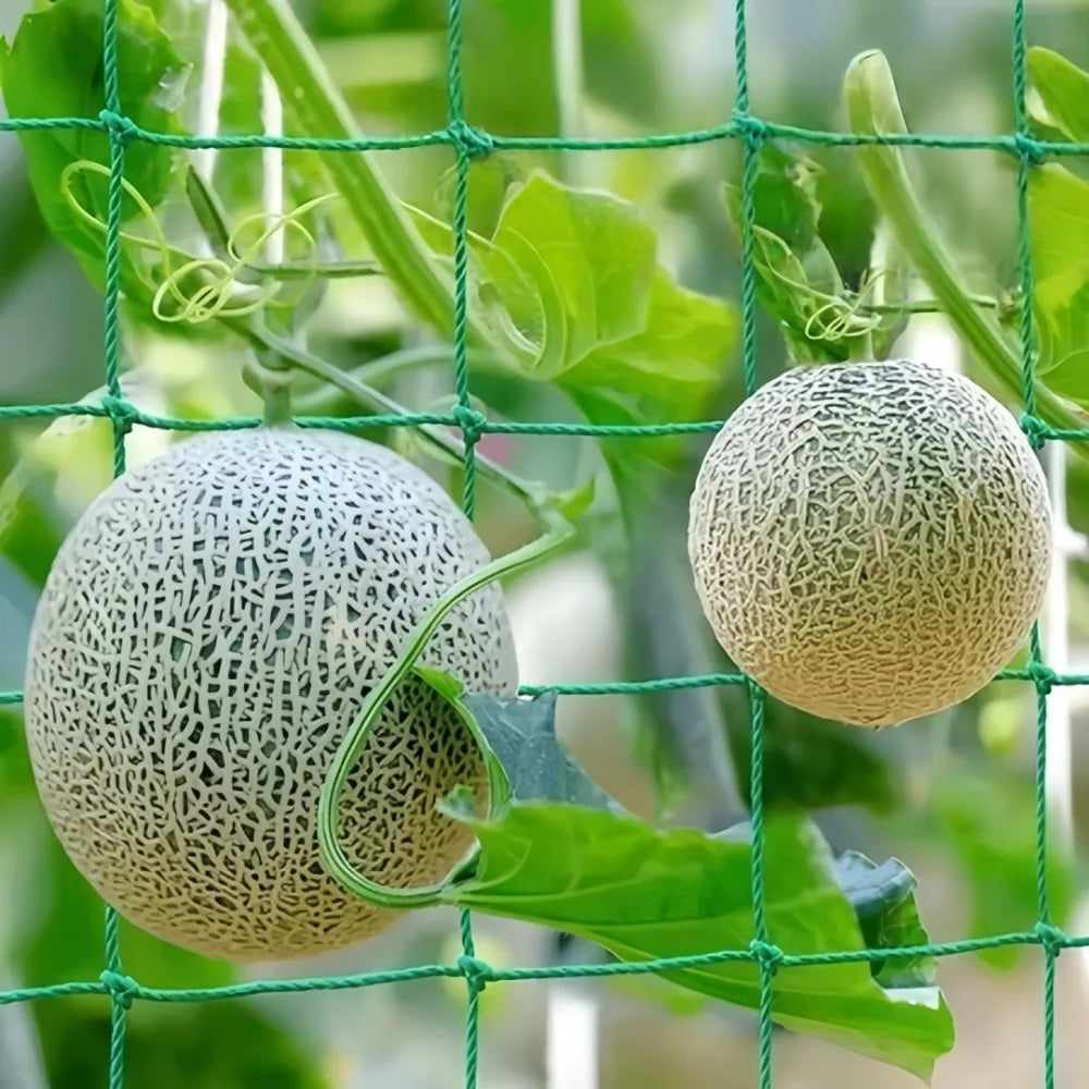 Plant Trellis Climbing Net – Plastic Garden Vine Support Mesh Garden Trellis Net Axl