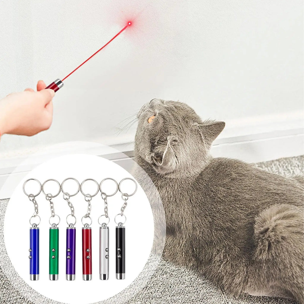 Cat Laser Pointer Toy Pen – LED Light & Keychain Flashlight Cat Laser Toy Axl