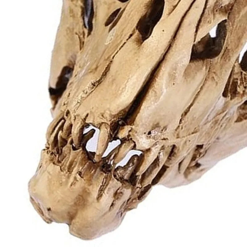 Resin Dinosaur Skull Fossil Model – Halloween & Room Decor Decorative Figurine Axl