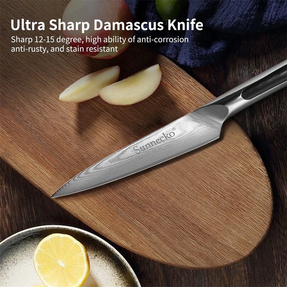 Sunnecko 3-Pc Damascus Steel Knife Set – VG10 HRC60+ Sharp Damascus Kitchen Knife Set Axl