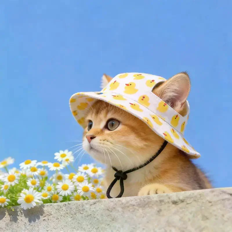 Pet Cowboy Hat with Ear Holes | Sun Hat for Cats & Small Dogs Pet Hat Accessory Axl