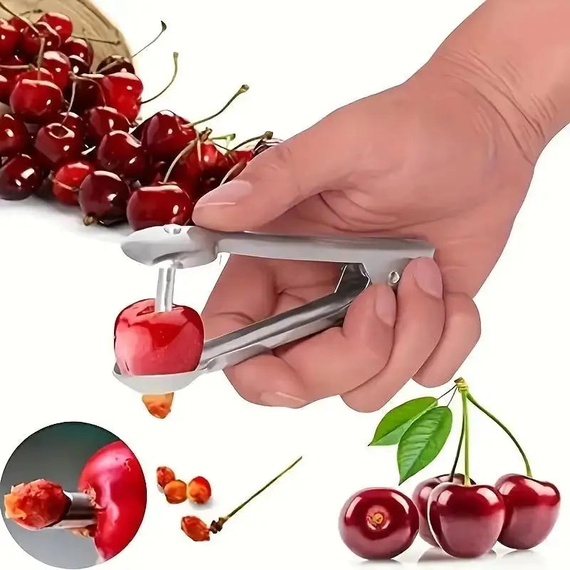 Stainless Steel Cherry Pitter – Fast One-Press Fruit Corer Fruit Pitter Tool Axl