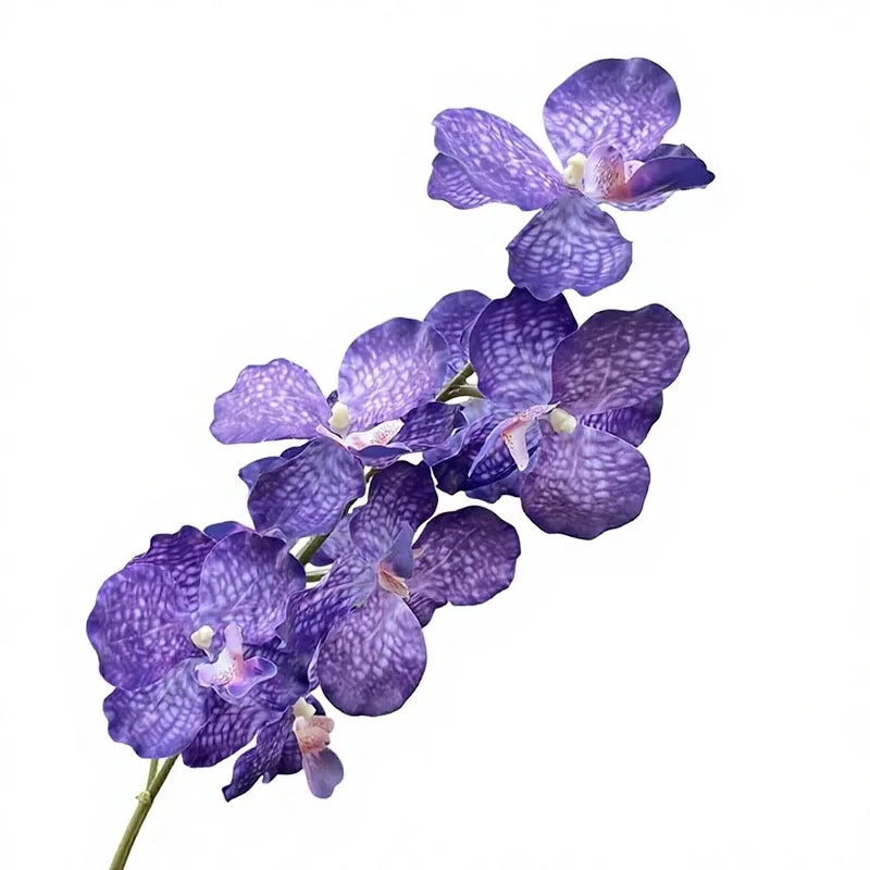 9-Head Vanda Orchid Artificial Silk Flowers – Wedding & Decor Artificial Silk Flowers Axl
