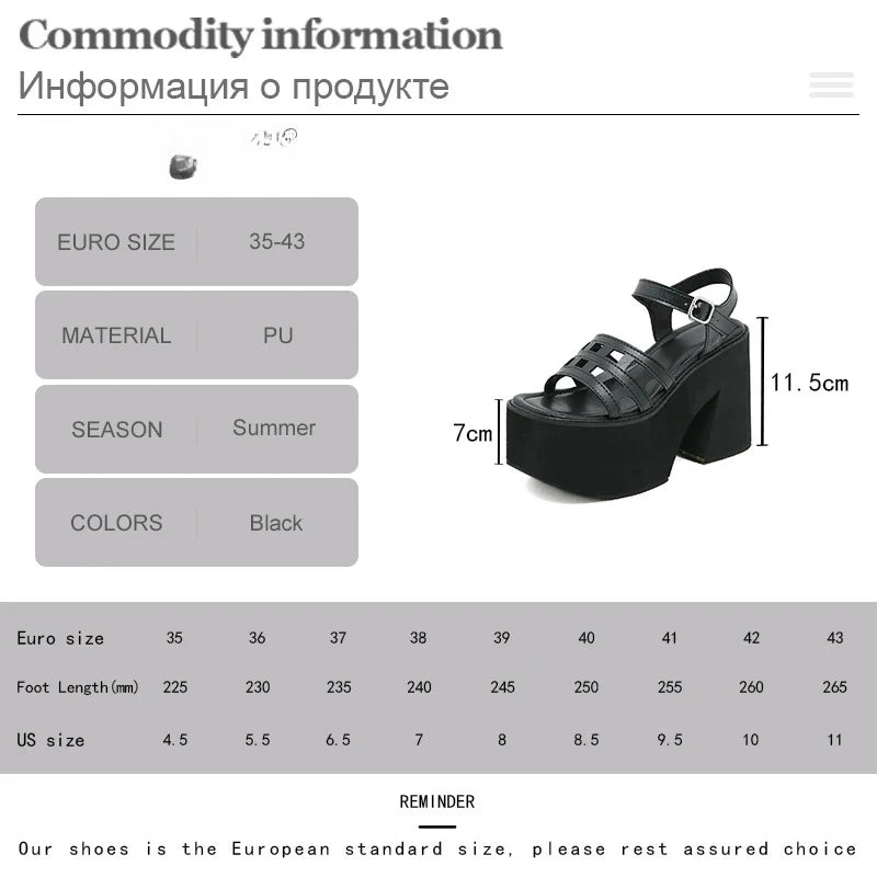 Women's Goth Platform Sandals Chunky Heel Ankle Strap Open Toe Platform Heeled Sandals Axl