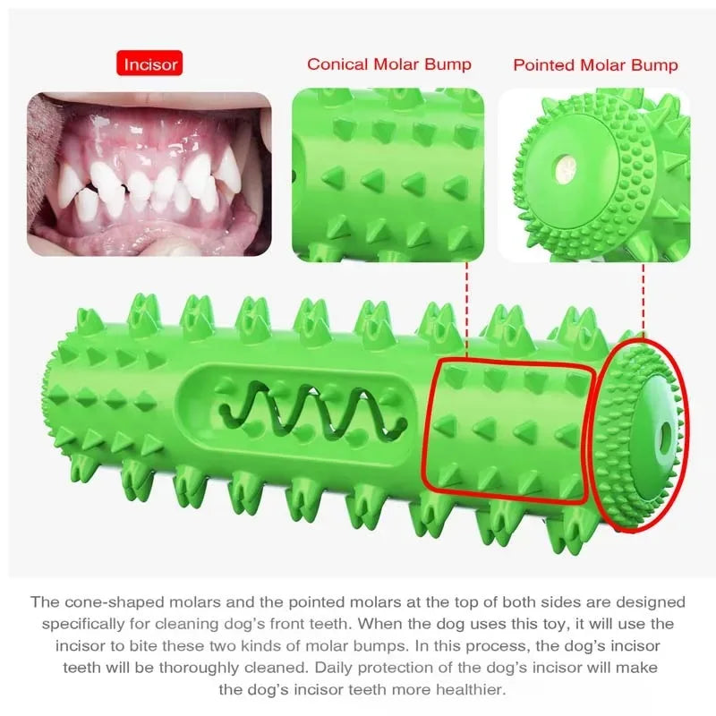 Squeaky Dog Molar Stick – Treat Dispenser & Teeth Cleaner Dog Chew Toy Axl