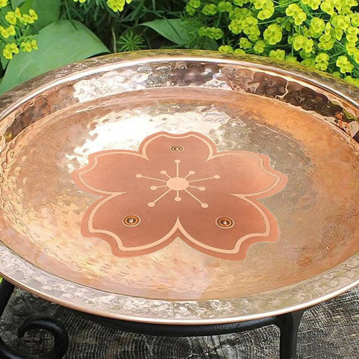 Copper Bird Bath Cleaning Disk – All-Season Algae Reducer Bird Bath Accessory Axl