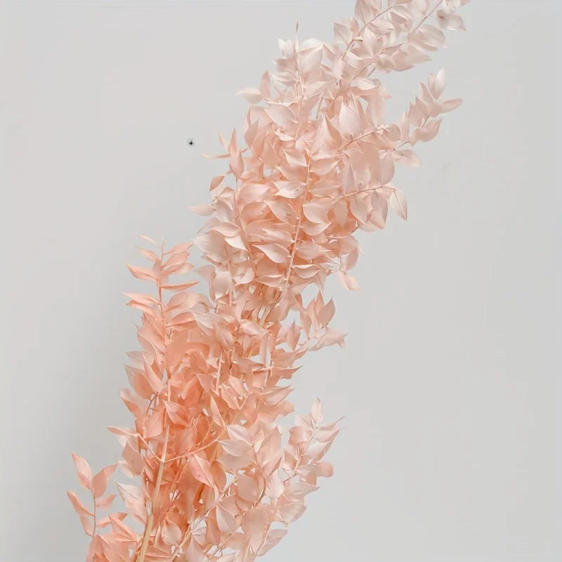 Natural Ruscus Dried Flower Bouquet 40g – Boho Home Decor Dried Flower Bouquet Axl 40g Light pink