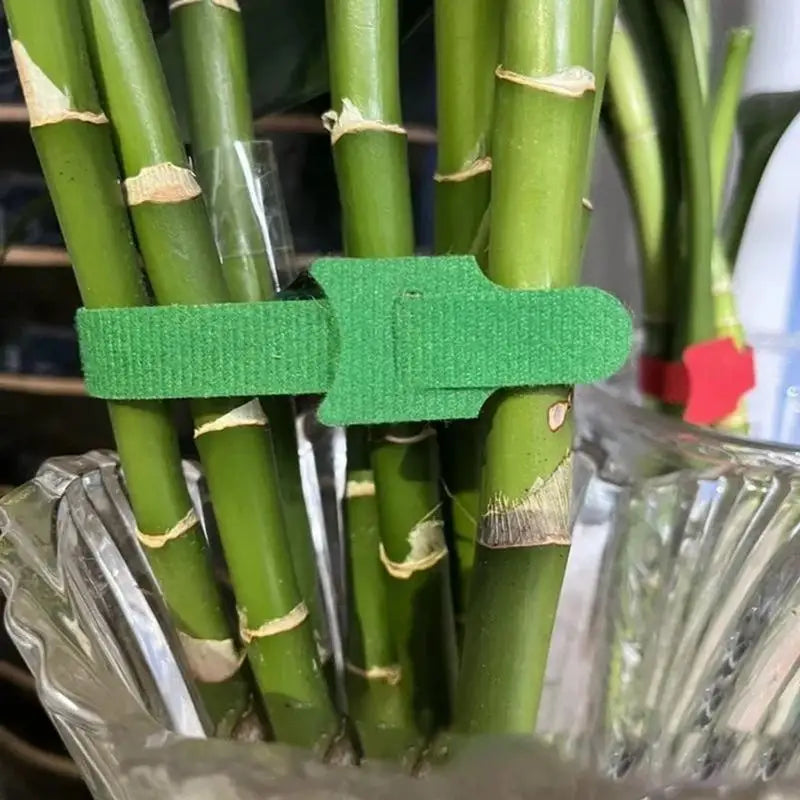 Reusable Nylon Plant Ties Hook Loop – 50/100/200 Pcs Garden Garden Plant Ties Axl