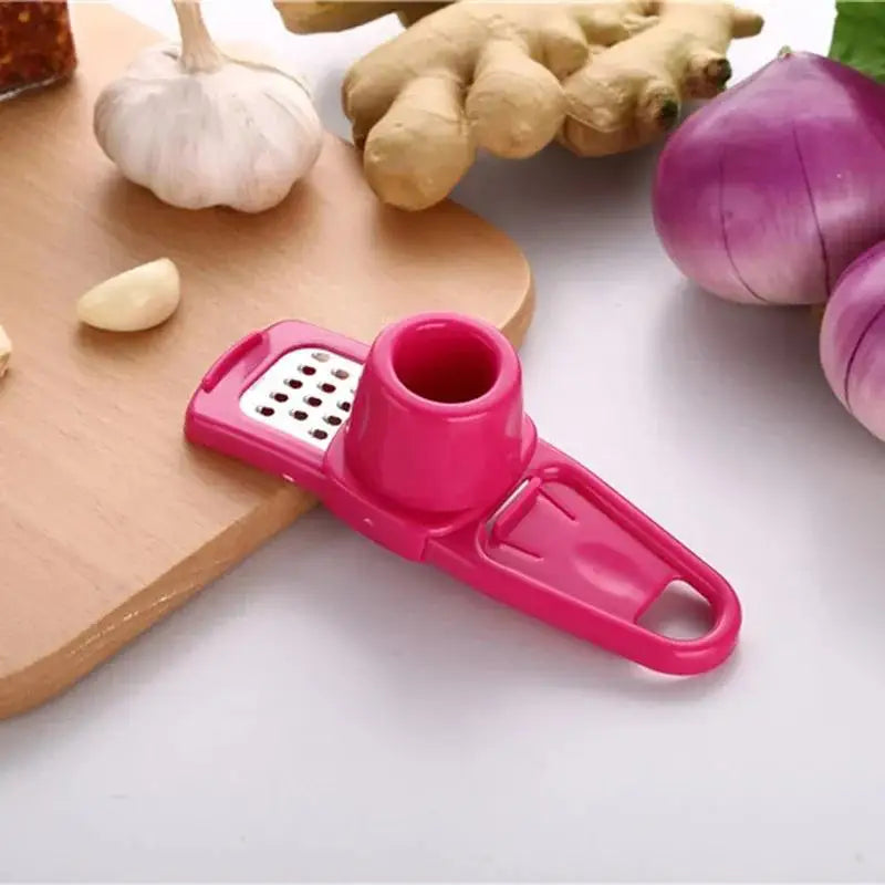 Stainless Steel Garlic Press & Mincer | Manual Kitchen Tool Garlic Press Axl B2