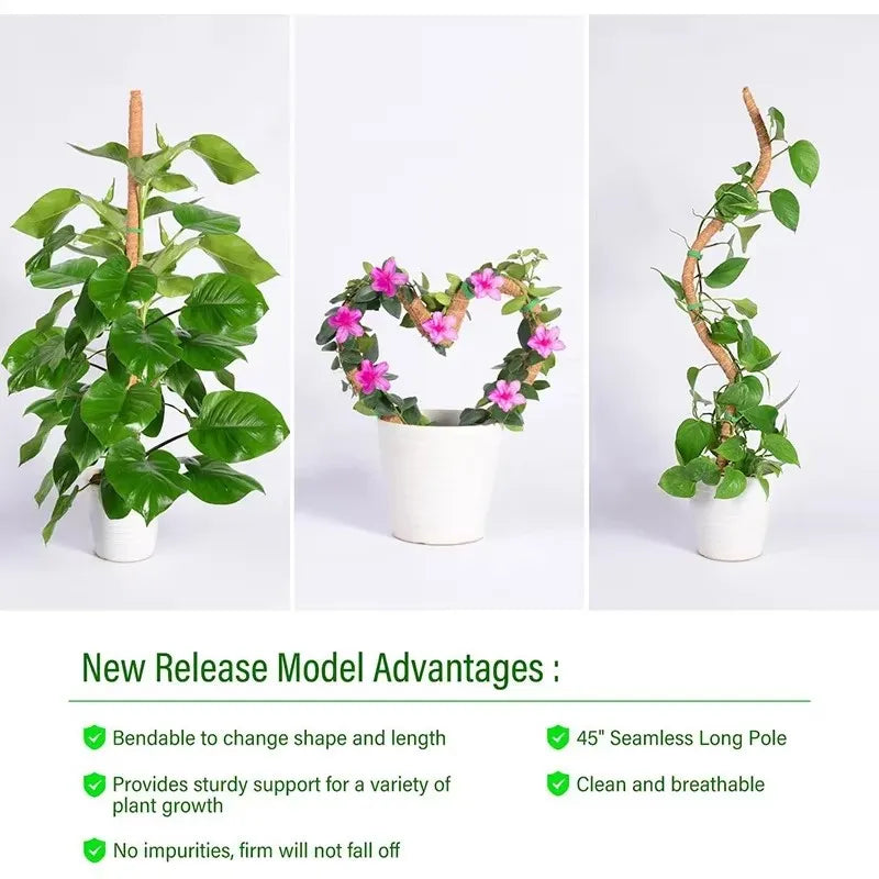 Bendable Moss Coir Pole – Coconut Fiber Climbing Plant Support Plant Climbing Support Axl
