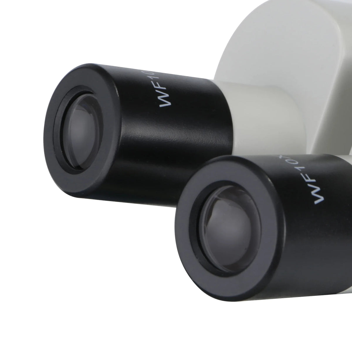 Binocular LED Biological Microscope – Up to 500X for Kids Biological Microscope Axl