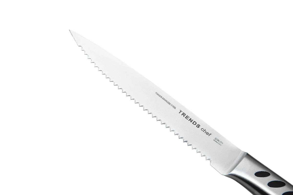 6-Piece Serrated Steak Knife Set – German Stainless Steel Steak Knife Set Axl