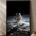 Apollo Moon Landing Self-Stick HD Wall Poster | Waterproof Wall Art Poster Axl White12 15X20cmNoframe