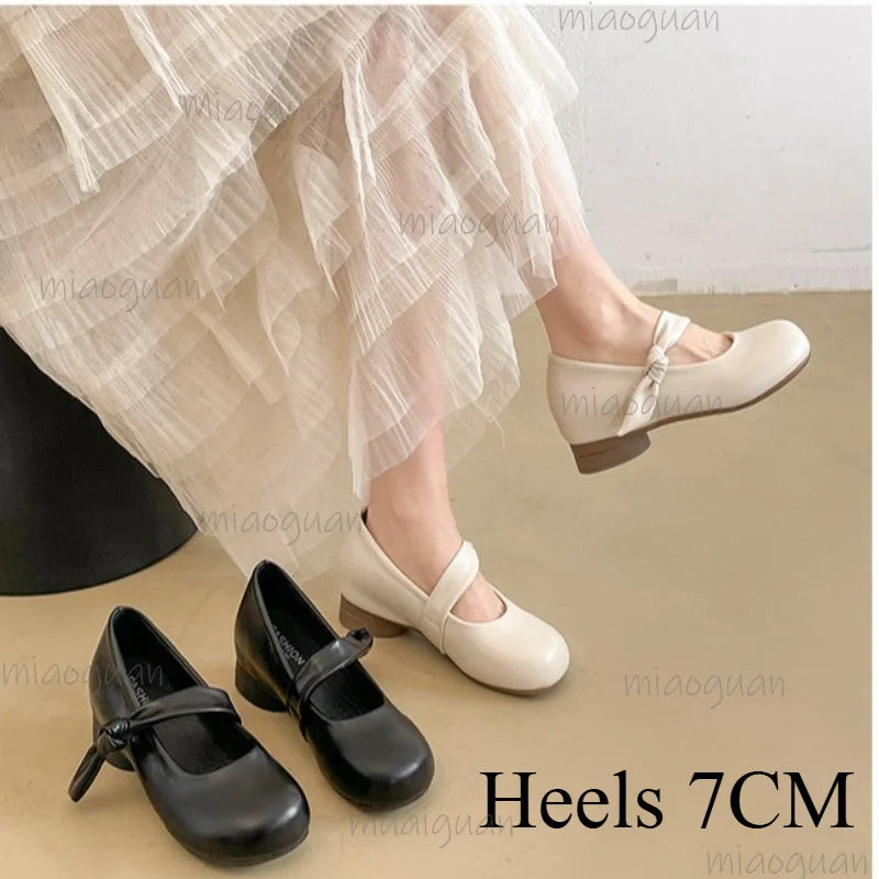 Women's Mary Jane Block Heel Pumps – Buckle Strap 7CM Block Heel Pumps Axl