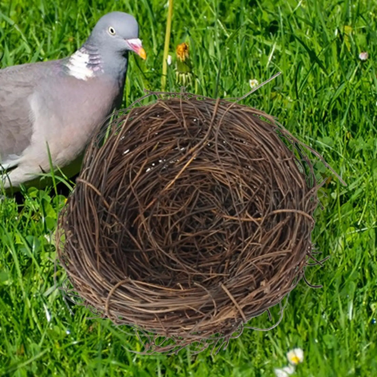 Handwoven Rattan Bird Nest – Parakeet & Small Animal Cage House Bird Nest House Axl
