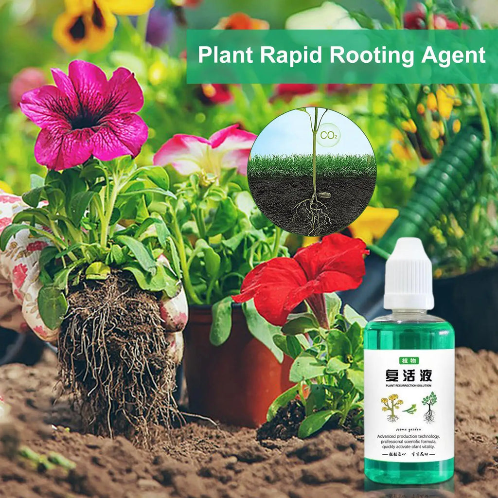 Plant Root Booster Liquid 50ml – Fast Growth Nutrient Solution Plant Root Fertilizer Axl