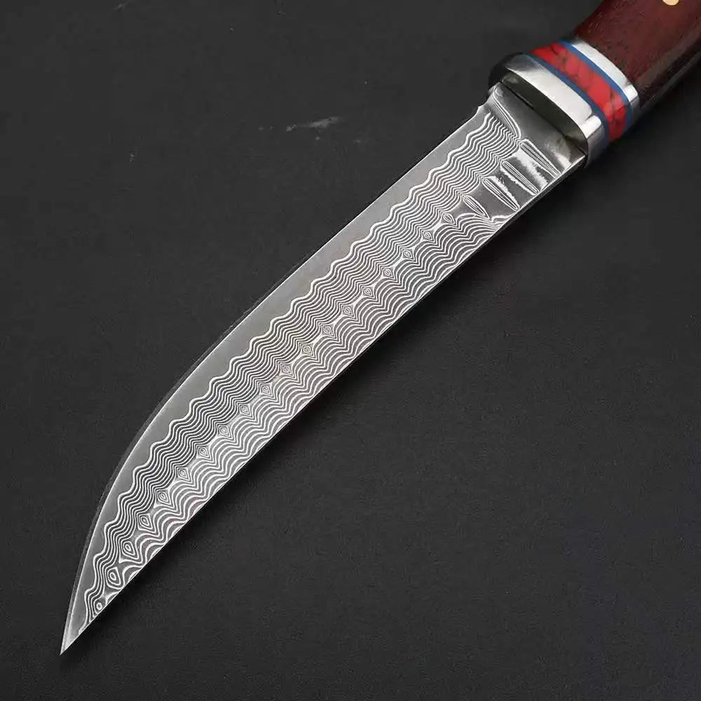 Damascus Steel Chef Knife – Fixed Blade Kitchen & BBQ Knife Damascus Chef Knife Axl