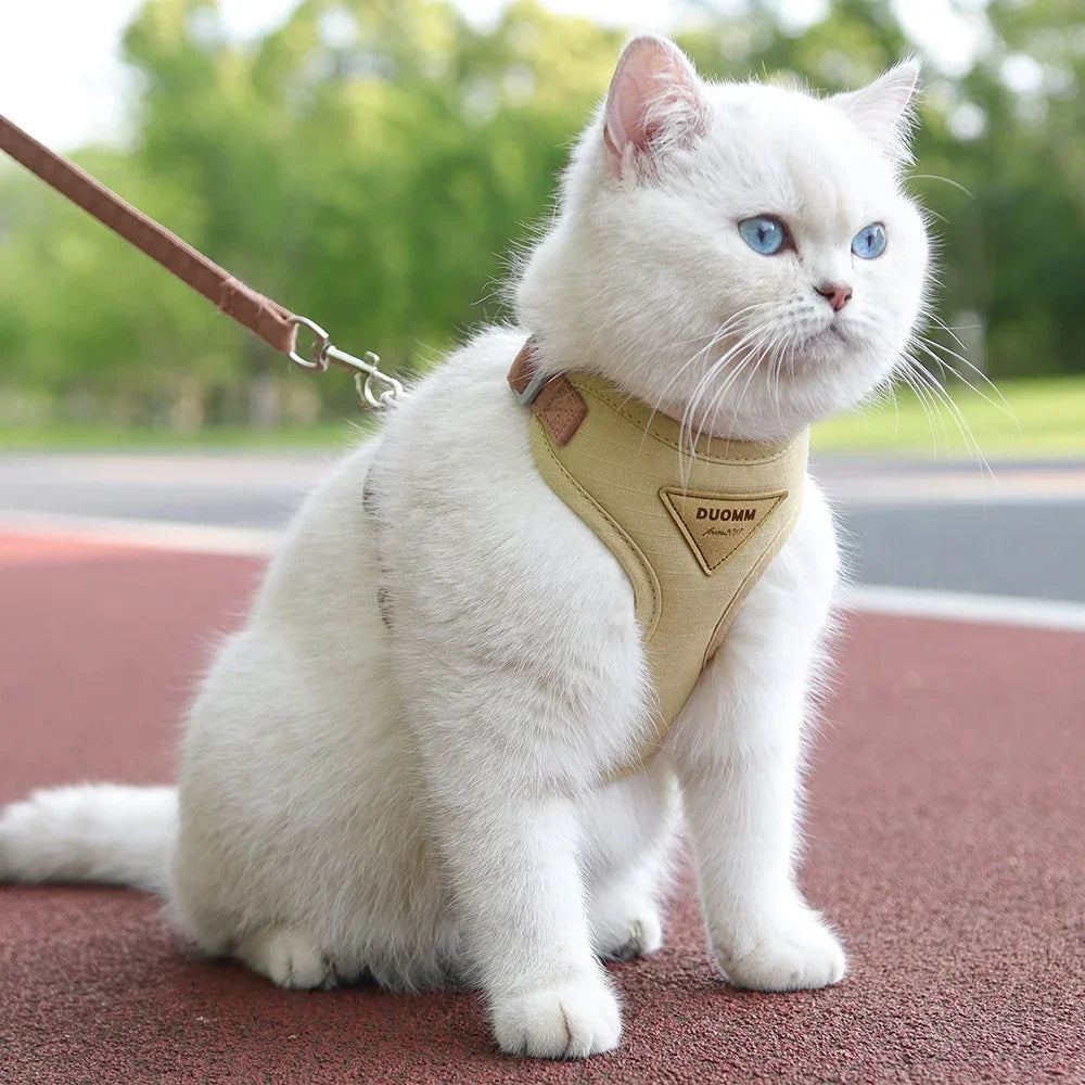 Breathable Pet Harness & Leash Set for Cats & Small Dogs Pet Harness Set Axl