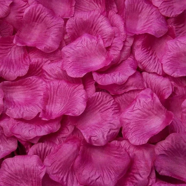Silk Rose Petals 100pc – Wedding & Valentine's Day Scatter Decor Silk Scatter Petals Axl Purple