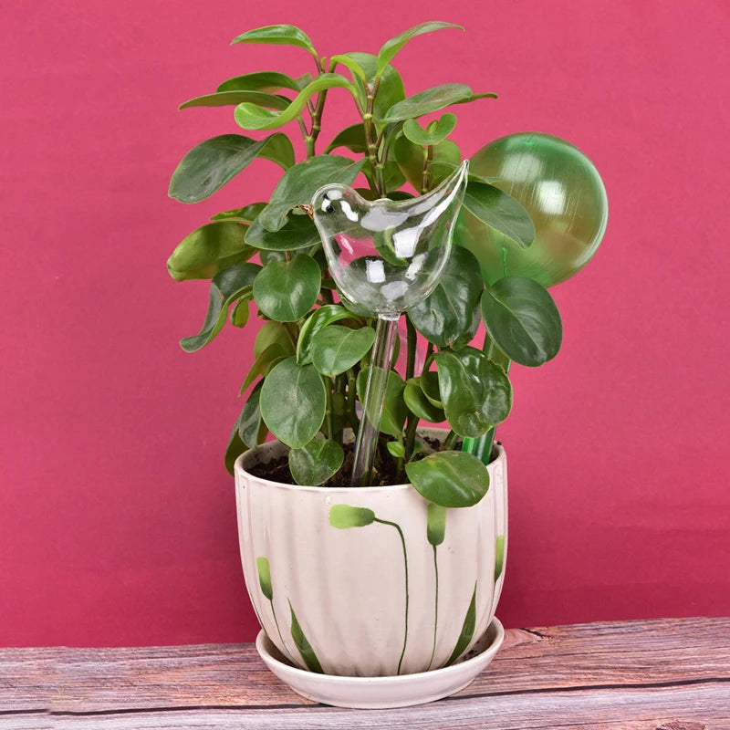 Bird-Shape Self-Watering Globe – Clear Glass Plant Waterer Self-Watering Globe Axl