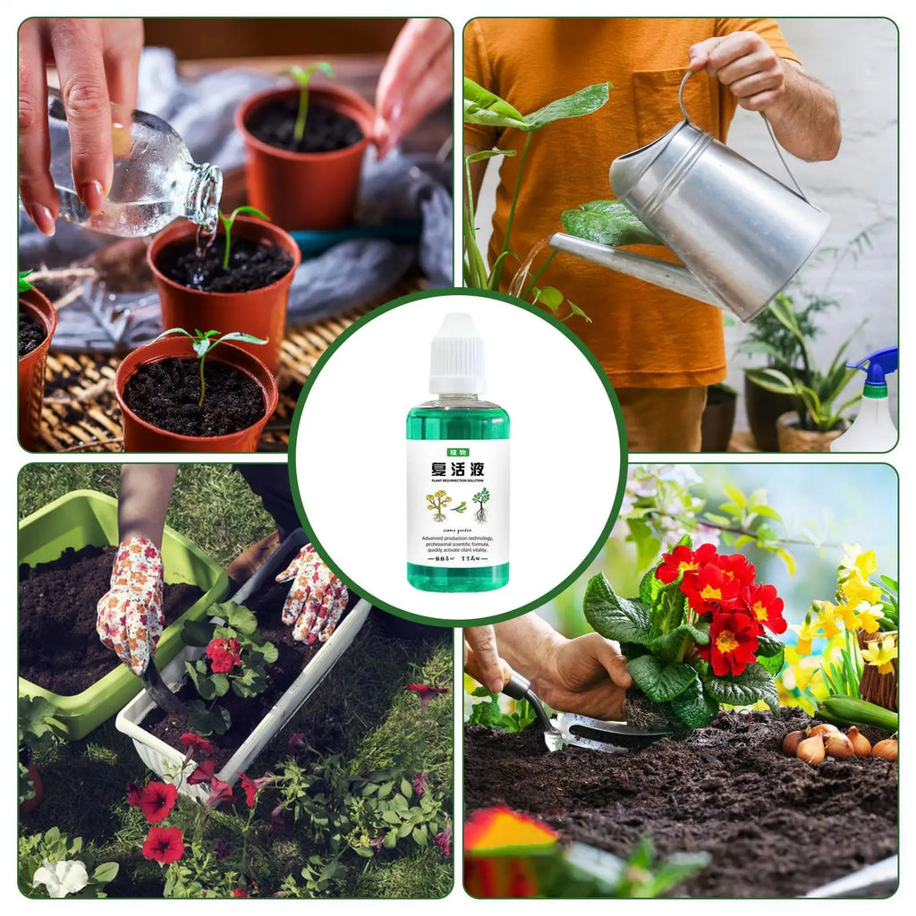 Plant Root Booster Liquid 50ml – Fast Growth Nutrient Solution Plant Root Fertilizer Axl
