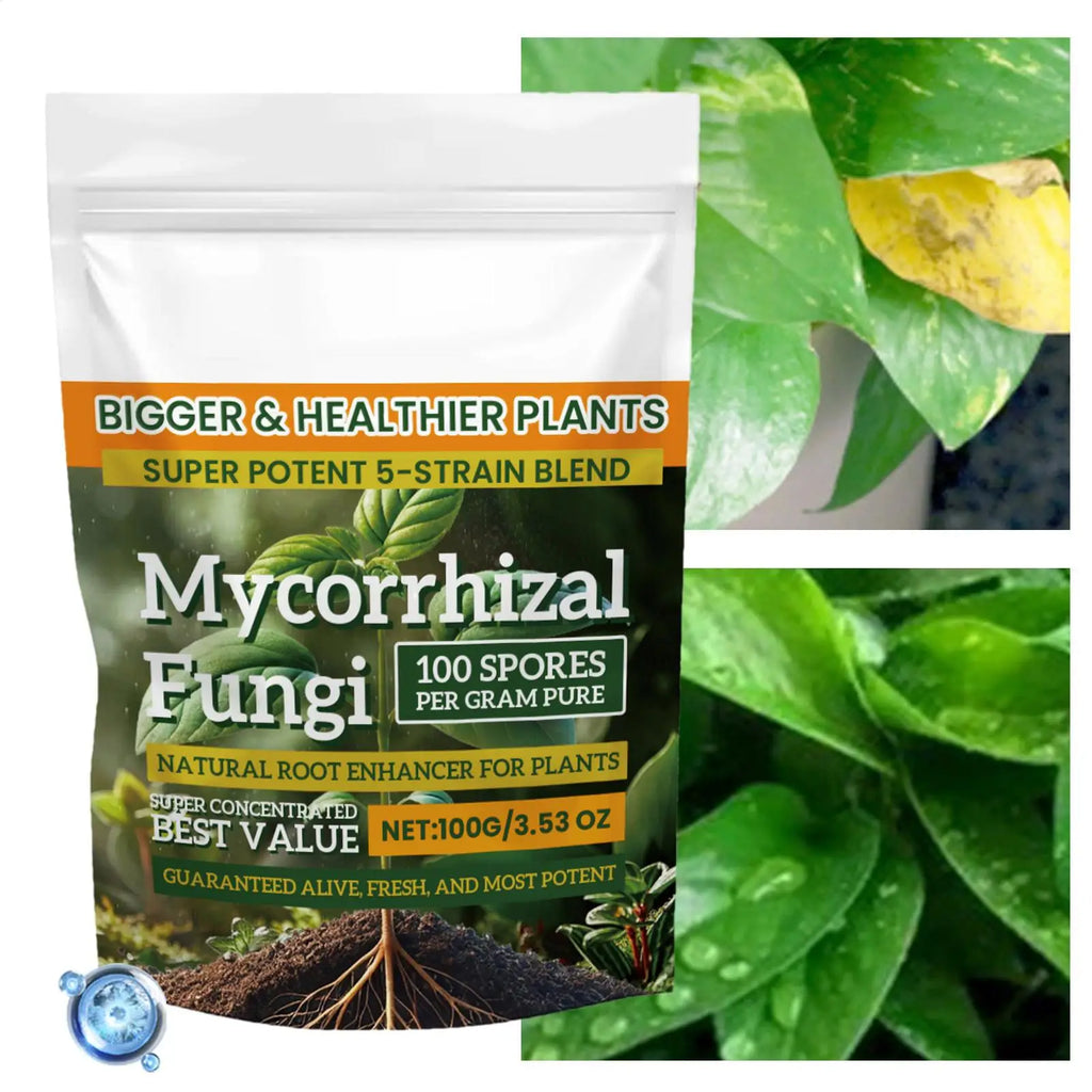100g Plant Growth Enhancer Powder – Hydroponics & Soil Plant Fertilizer Powder Axl