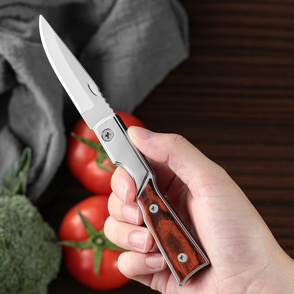 Stainless Steel Folding Camping Knife – Portable Pocket Knife Folding Camping Knife Axl
