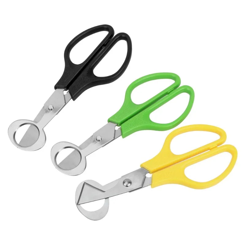 Quail Egg Shell Scissors & Cigar Cutter – Stainless Steel Egg Shell Scissors Axl
