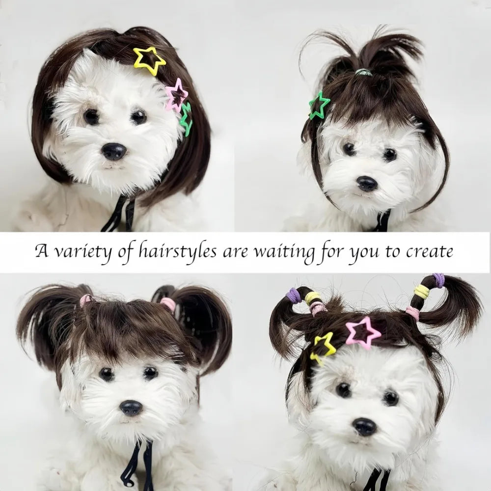 Funny Pet Bob Wig for Cats & Dogs – Halloween Cosplay Pet Costume Wig Axl