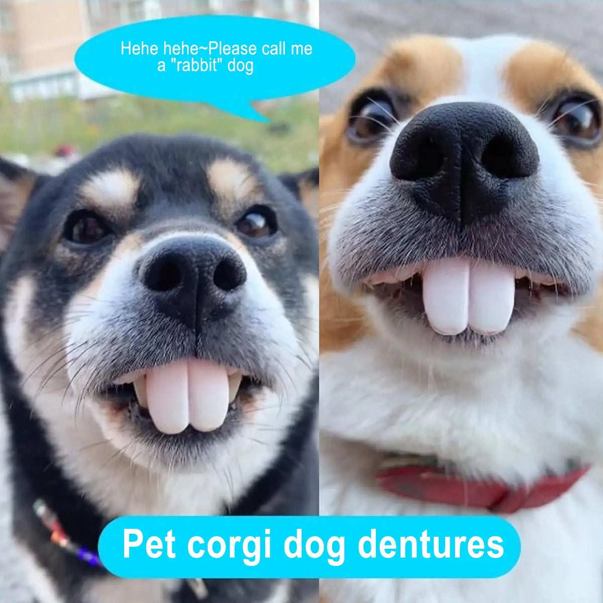 Silicone Funny Fake Teeth Dog Toy – Costume & Photo Prop Dog Costume Toy Axl
