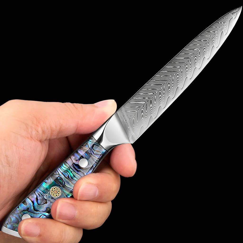 67-Layer Damascus Steel Chef's Knife – Sharp Kitchen Knife Damascus Kitchen Knife Axl