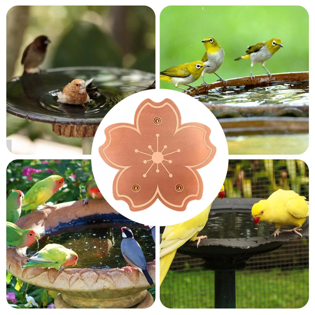 Copper Bird Bath Purifier Disc | Triple-Point Support Bird Bath Accessory Axl