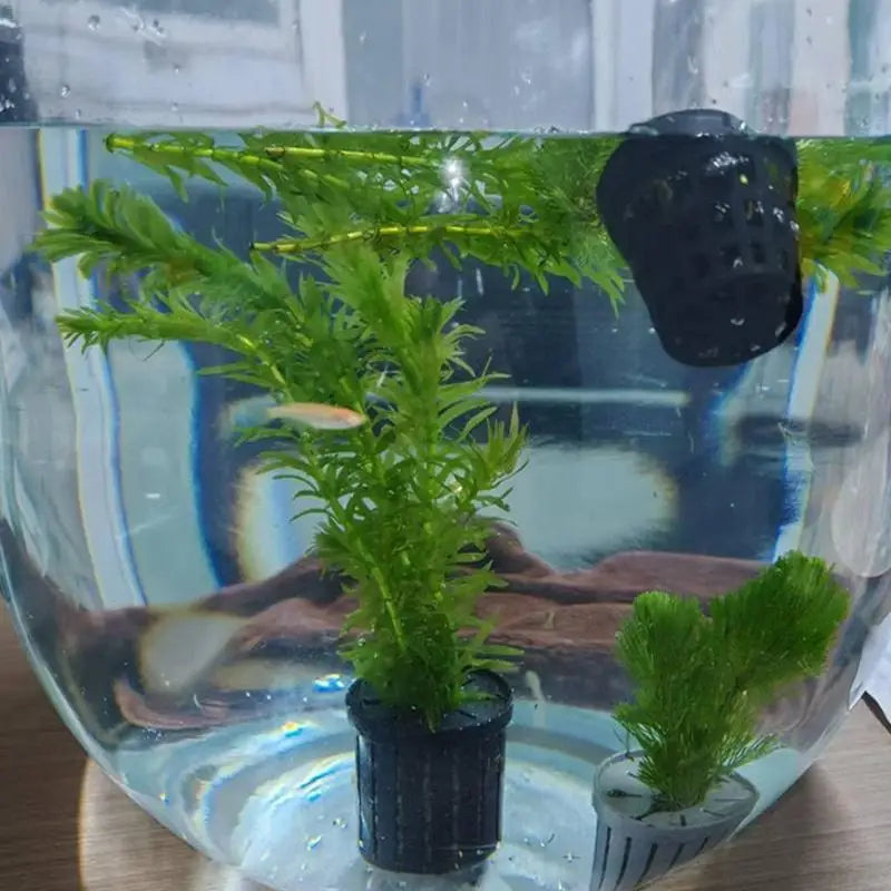 4-Pack Aquarium Net Planter Cups | Hydroponic Fish Tank Baskets Aquarium Planter Basket Axl