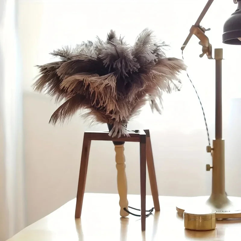 Reusable Feather Duster – Home, Car & Electronics Cleaning Feather Duster Axl