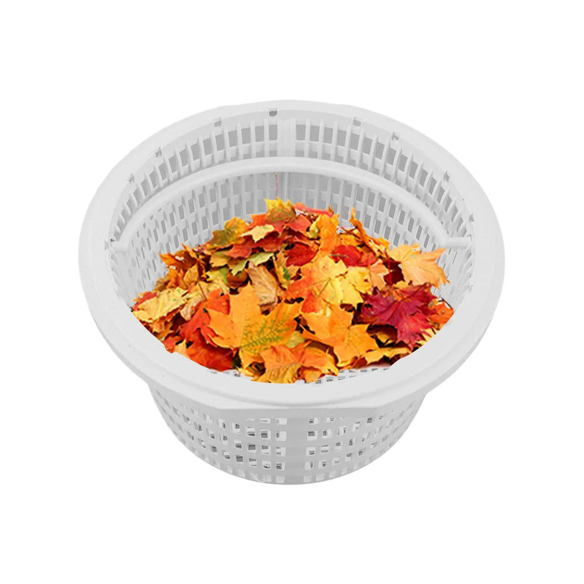 Pool Skimmer Basket – Debris Catcher & Filter Replacement Pool Skimmer Basket Axl