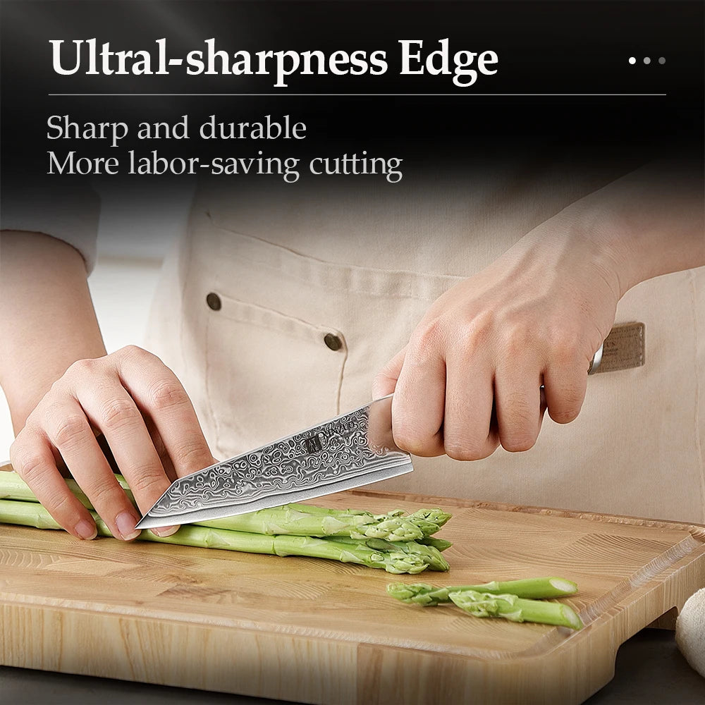 XINZUO 5.3" Damascus Utility Knife – Sycamore Wood Handle Damascus Utility Knife Axl
