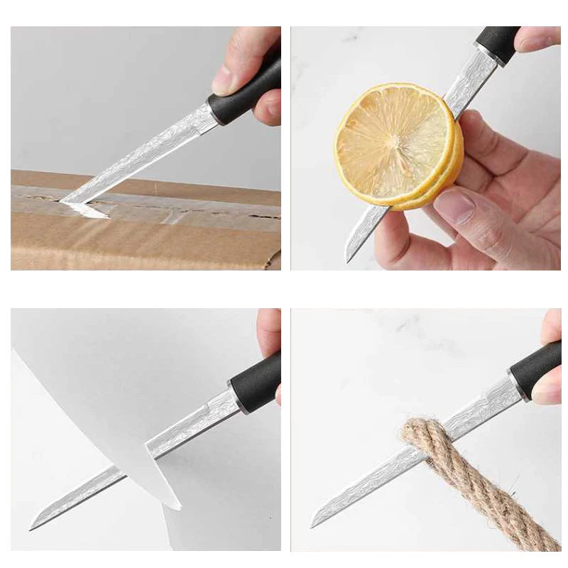 PLYS Fixed Blade Knife – Stainless Steel Camping & Kitchen Fixed Blade Knife Axl