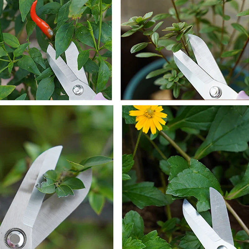 Bypass Pruning Shears – Stainless Steel Garden Scissors Pruning Shears Axl
