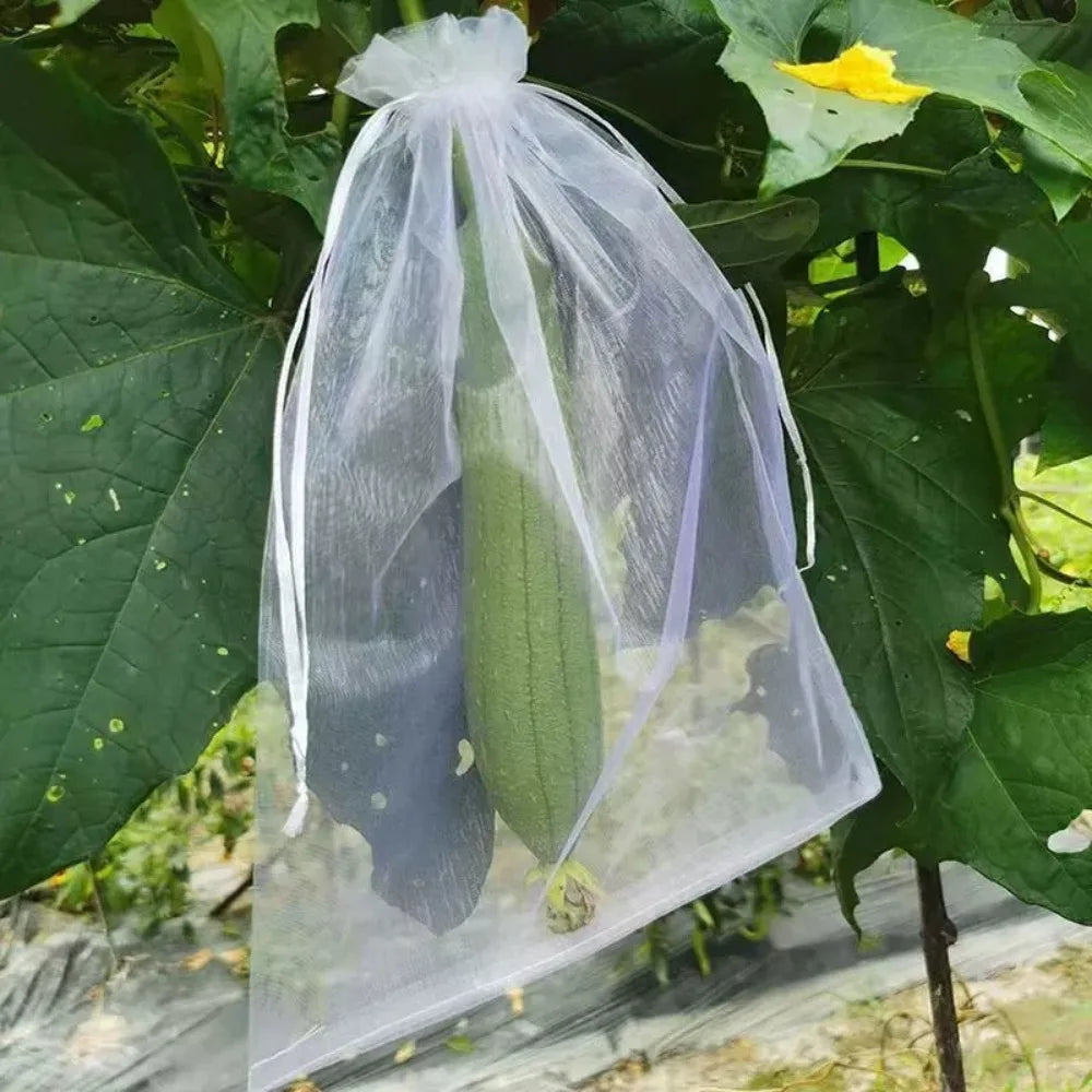 10-Pack Nylon Fruit Protection Bags – Pest & Bird Netting Fruit Protection Bags Axl