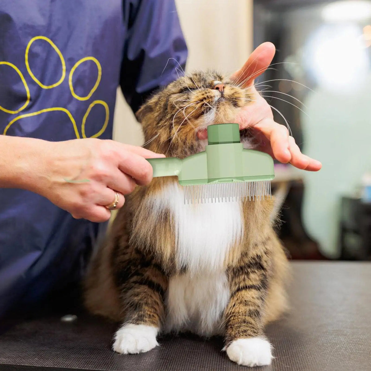 Self-Cleaning Pet Slicker Brush – Cat & Dog Grooming Comb Pet Grooming Brush Axl