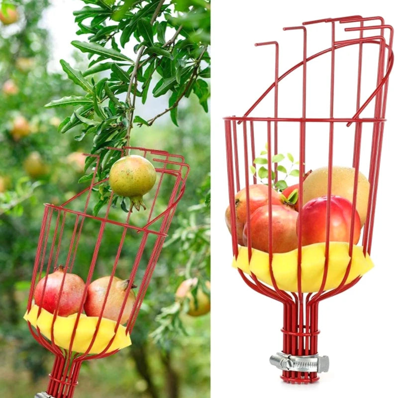 Deep Basket Fruit Picker Head – Garden & Orchard Tool Fruit Picker Head Axl