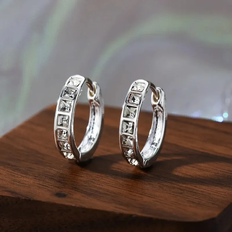 925 Sterling Silver Zircon Circle Stud Earrings | Women's Gift Stud Earrings Axl