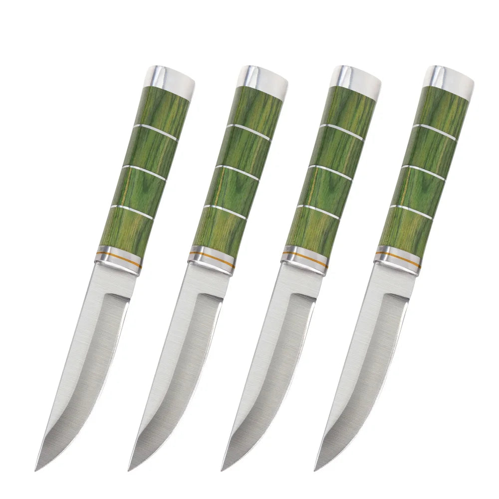 Bamboo Handle Stainless Steel Meat & Deboning Knife | BBQ Kitchen & BBQ Knife Axl Green handle 4 Pcs China Mainland