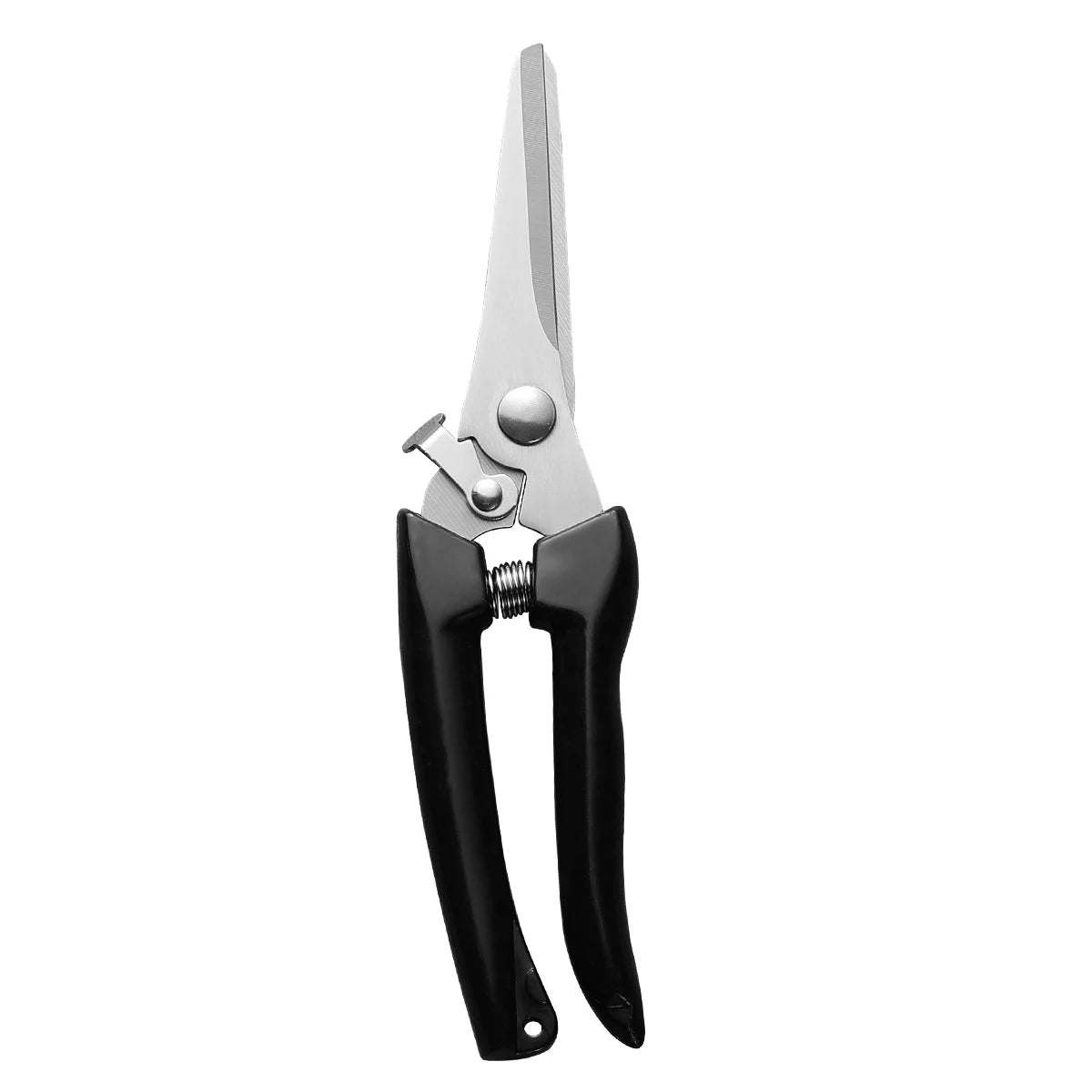 Stainless Steel Grafting & Pruning Shears | Fruit Tree Garden Tool Pruning Shears Axl 1pcsB